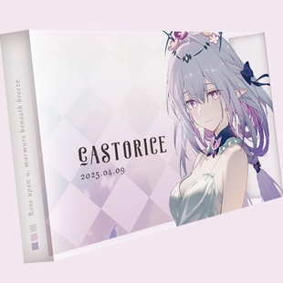 同人周边 STYLE 女角色 VOGUE 简约风低饱和崩铁亚克力砖