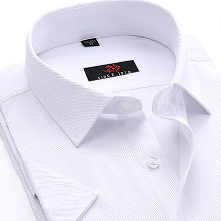 棉质透气免烫白衬衫男士商务职业装正装短袖衬衫修身长袖大码衬衫