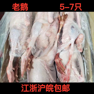 冷冻新鲜老鹅东北老鹅带包老鹅全鹅生鹅肉5和7只40斤苏浙沪皖包邮