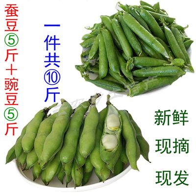 时令蔬菜豌豆胡豆新鲜现摘