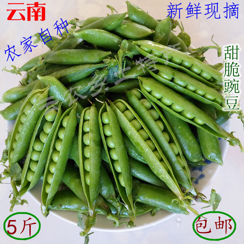 豌豆带壳 农家自种南方蔬菜新鲜 青...