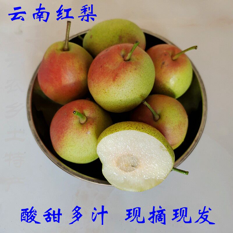 红梨时令水果牛角乌酸甜多汁
