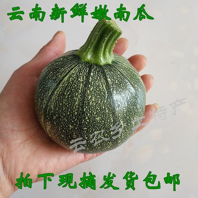 南瓜特产新鲜蔬菜迷你5斤包邮