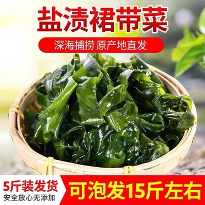 盐渍裙带菜大连特产海白菜海藻菜海带裙带菜凉拌菜麻辣烫火锅食材