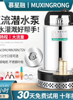 48V电瓶车直流潜水泵12V24V60V72V电动车抽水机高扬程抽水泵农用