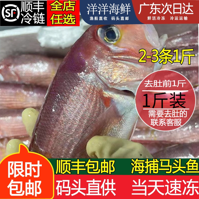 红马头鱼深海海钓方头鱼本港水产斧头鱼潮汕马面鱼海捕水产1斤装