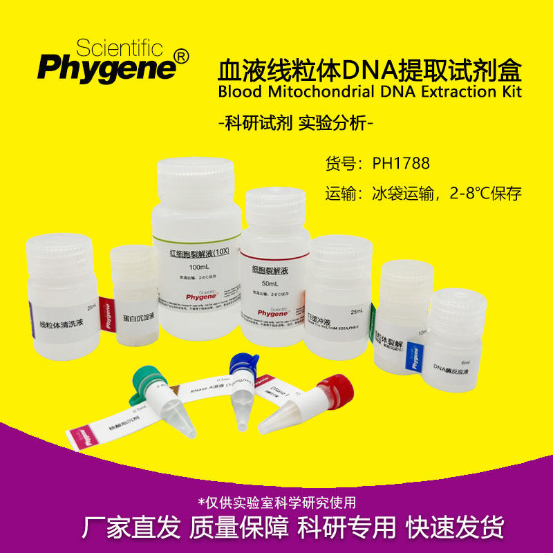 血液线粒体DNA提取试剂盒 100T 科研专用实验试剂 PH1788 PHYGENE
