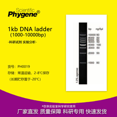核酸电泳DNALadder1000-10000