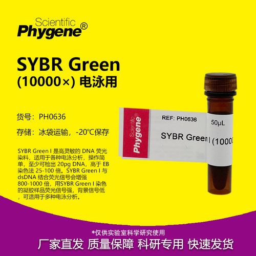 SYBRGreenI核酸电泳