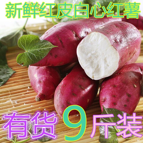 新鲜番薯板栗烤地瓜