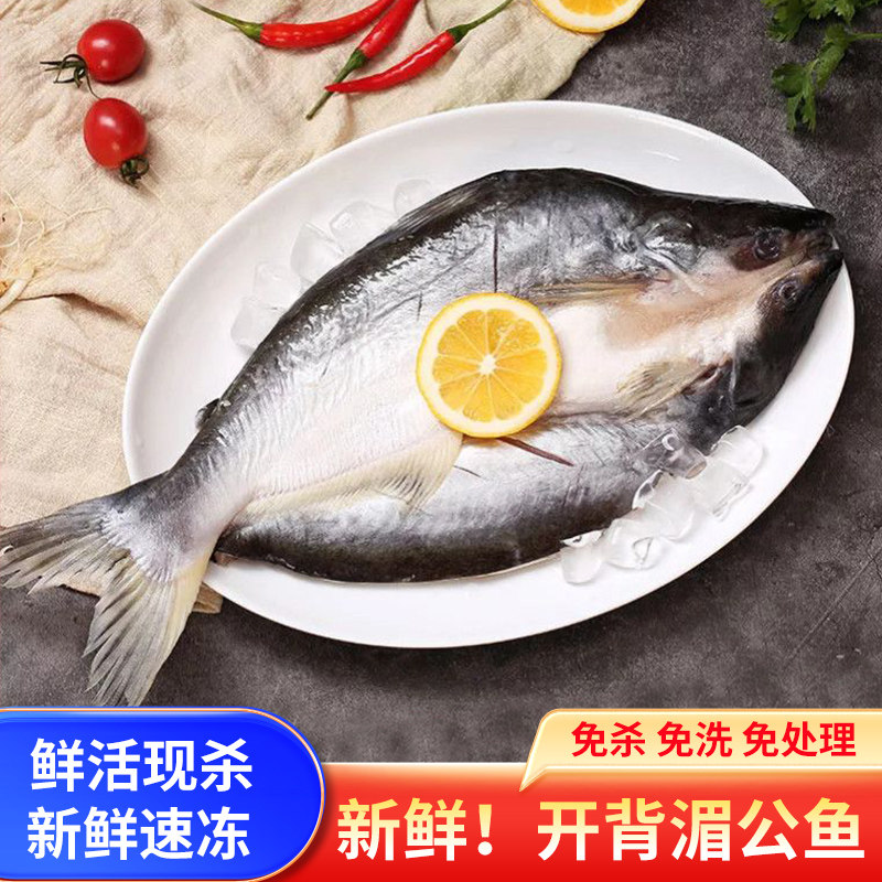 开背腌制湄公鱼500-1650g全规格烤鱼冷冻巴沙鱼越南凌波鱼龙利鱼