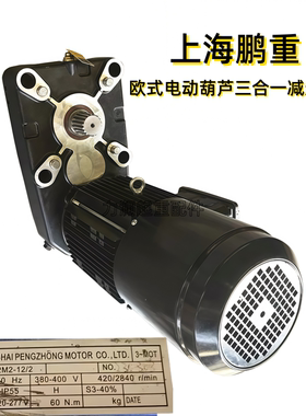PZ112M-12/2 1.0/6.1kW上海鹏重欧式电动葫芦主起升双速一体电机