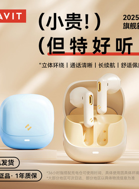 havit海威特S3mini私模真无线蓝牙耳机大电量ENC通话降噪耳机