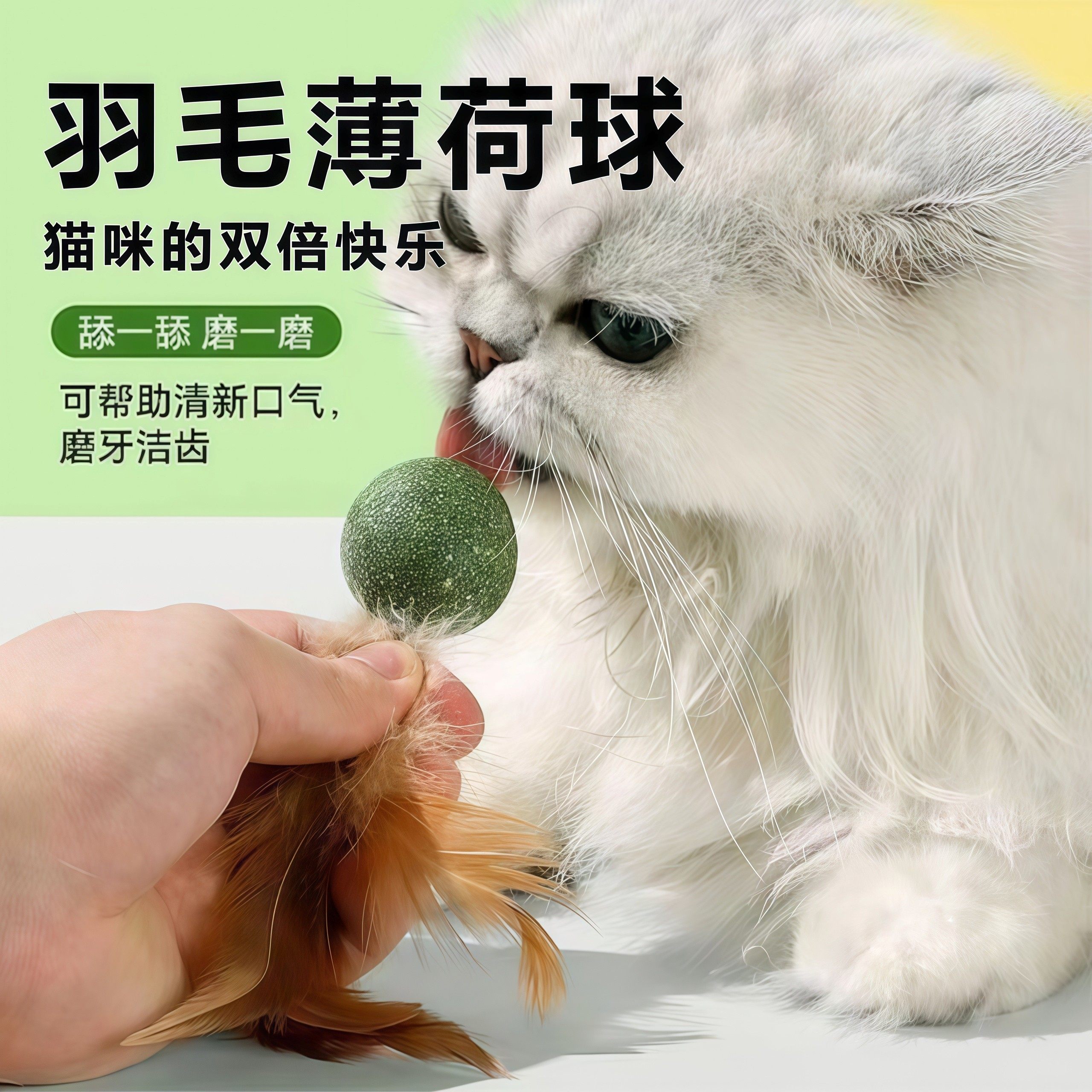 猫薄荷球羽毛猫玩具磨牙自嗨解闷猫草片球逗猫棒猫化排毛猫咪专用,宠物/宠物食品及用品,逗猫棒,淘宝优惠券,粉丝福利购,淘宝优惠卷