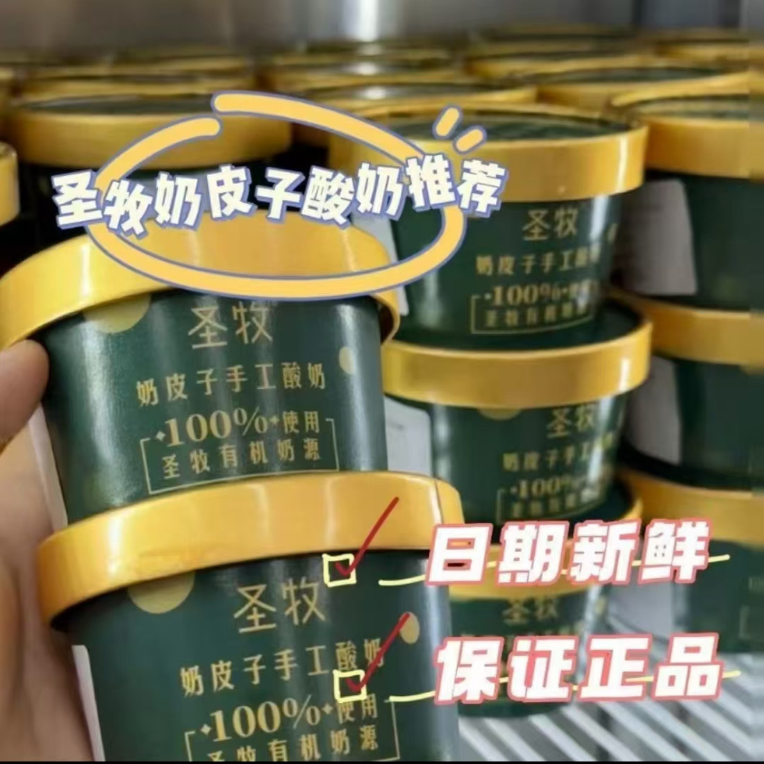 圣牧手工奶皮子酸奶原味美食小吃特产顺丰包邮