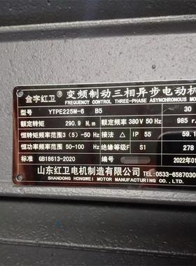 山东源头厂家直供YTPE225M-6/30W起重变频制动三相异步电动机