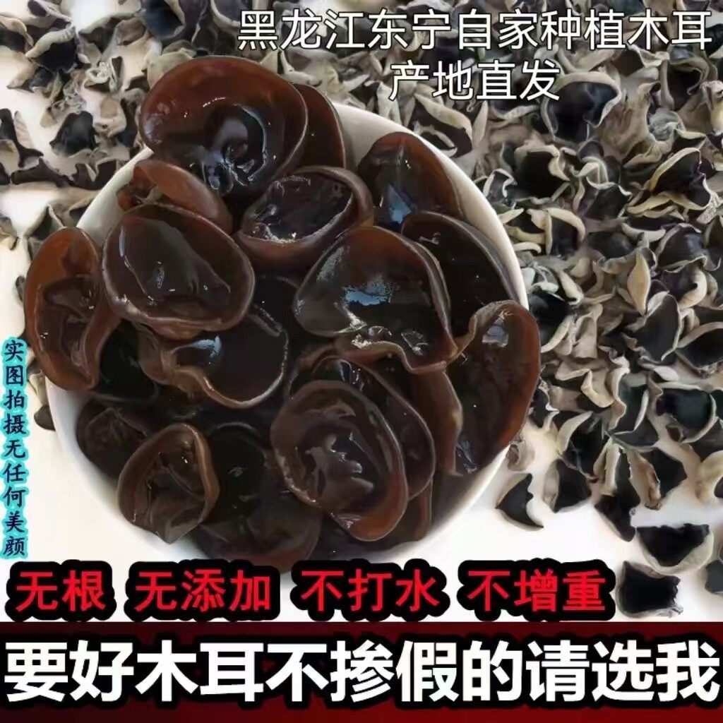 东北特产无根免摘黑木耳