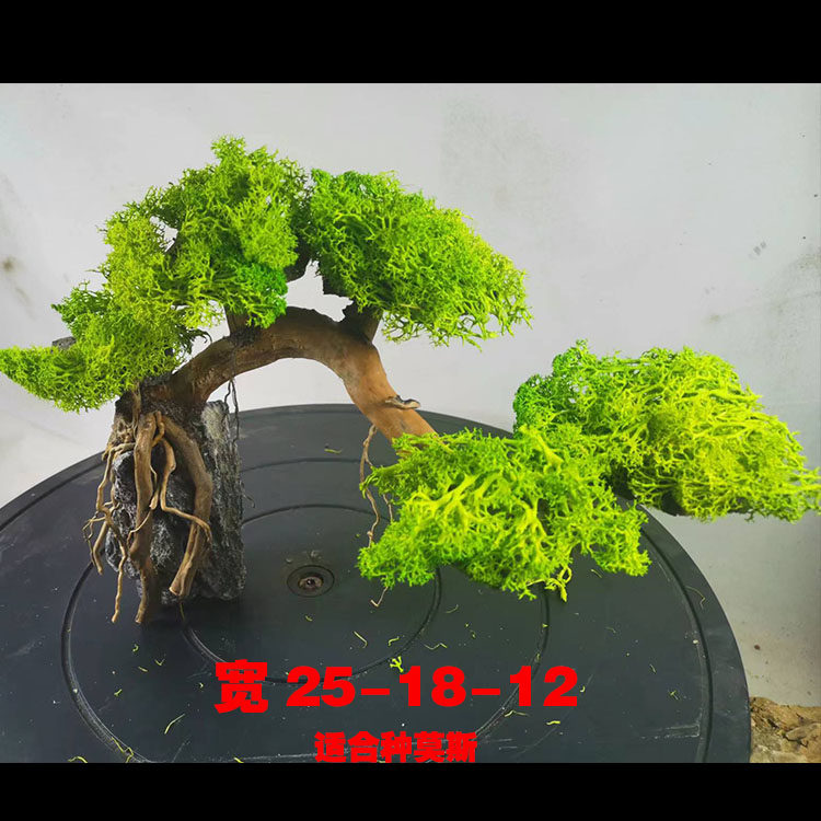 WJ水草沉木树造景树莫斯树水榕树骨架鱼缸草缸个性订做定做c003