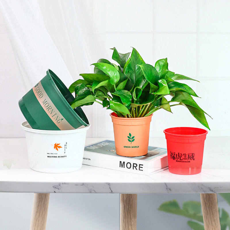 绿萝专用套盆180型号桌面款储水式不漏水塑料小白盆绿萝专用花盆