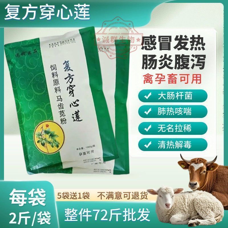 复方穿心莲粉散末兽用鸡鸭鹅禽肠炎拉稀腹泻黄白痢散猪牛羊穿心莲
