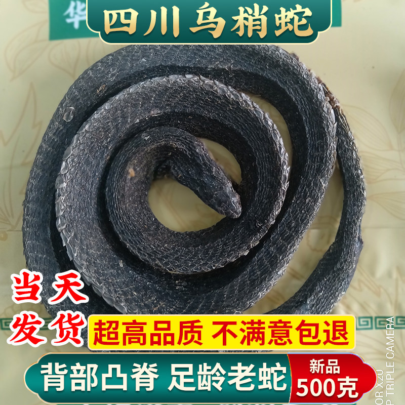 乌梢蛇中药材四川乌蛇黑线纵贯乌鞘蛇块正品50克包邮中草药乌蛇干