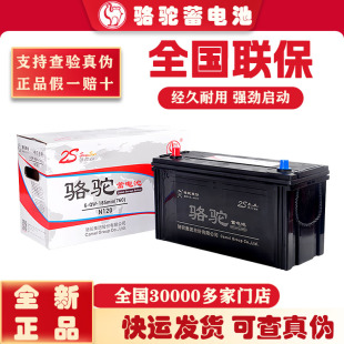 骆驼蓄电池12v铅酸免维护启动电瓶45ah60ah80ah100ah汽车货车叉车