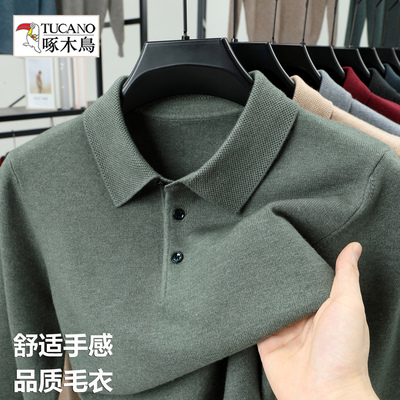 专柜同款啄木鸟POLO衫男长袖毛衣