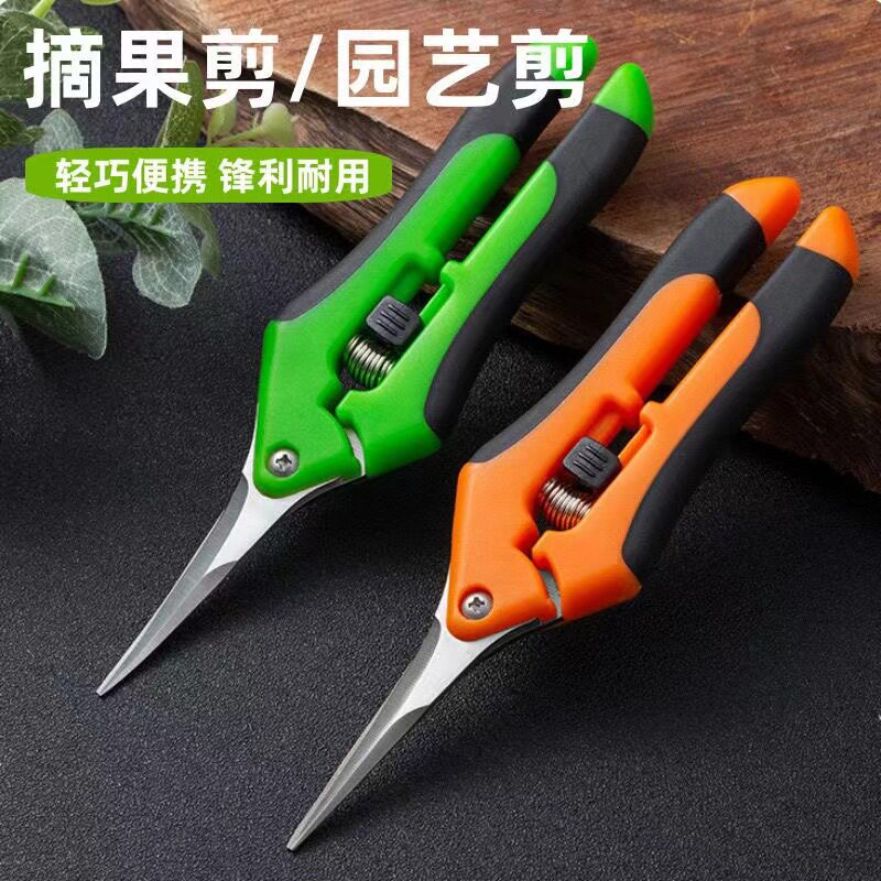 园艺剪刀修枝剪修剪树枝剪花蔬果专用剪采摘果剪葡萄蓝莓剪刀花剪