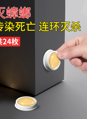 蟑螂药大小通杀郁除杀蟑螂神器一次家用厨房灭蟑胶饵贴康非一窝端