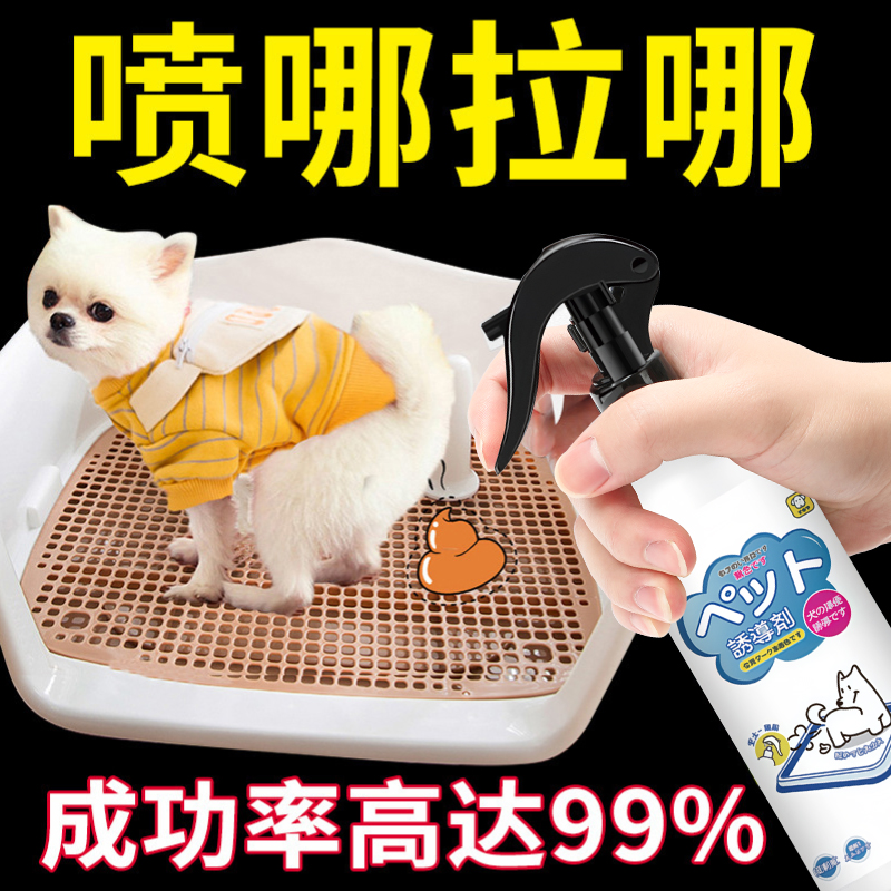 狗狗定点排便诱导剂狗大小便尿尿