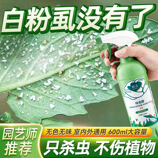 白粉虱杀虫剂花卉植物专用祛除治小白飞虱花药喷雾室内家用非特效