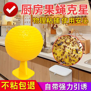 厨房果蝇诱捕器粘小飞虫神器强力粘虫球灭苍蝇捕捉家用驱去除克星