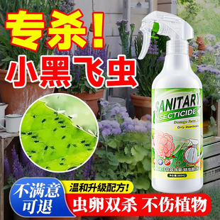 小黑飞杀虫剂家用花盆花土壤非专杀灭花卉植物里面有小飞虫去虫药