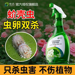 蚧壳虫专用杀虫剂多肉介壳虫杀虫剂兰花疥虫花卉植物除虫药非特效