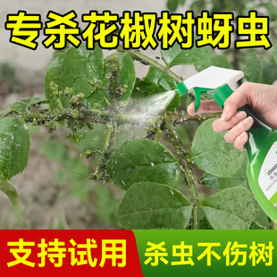 花椒树杀虫药灭杀蚜虫红蜘蛛除蚧壳虫专用防治锈病疽炭病杀菌虫剂
