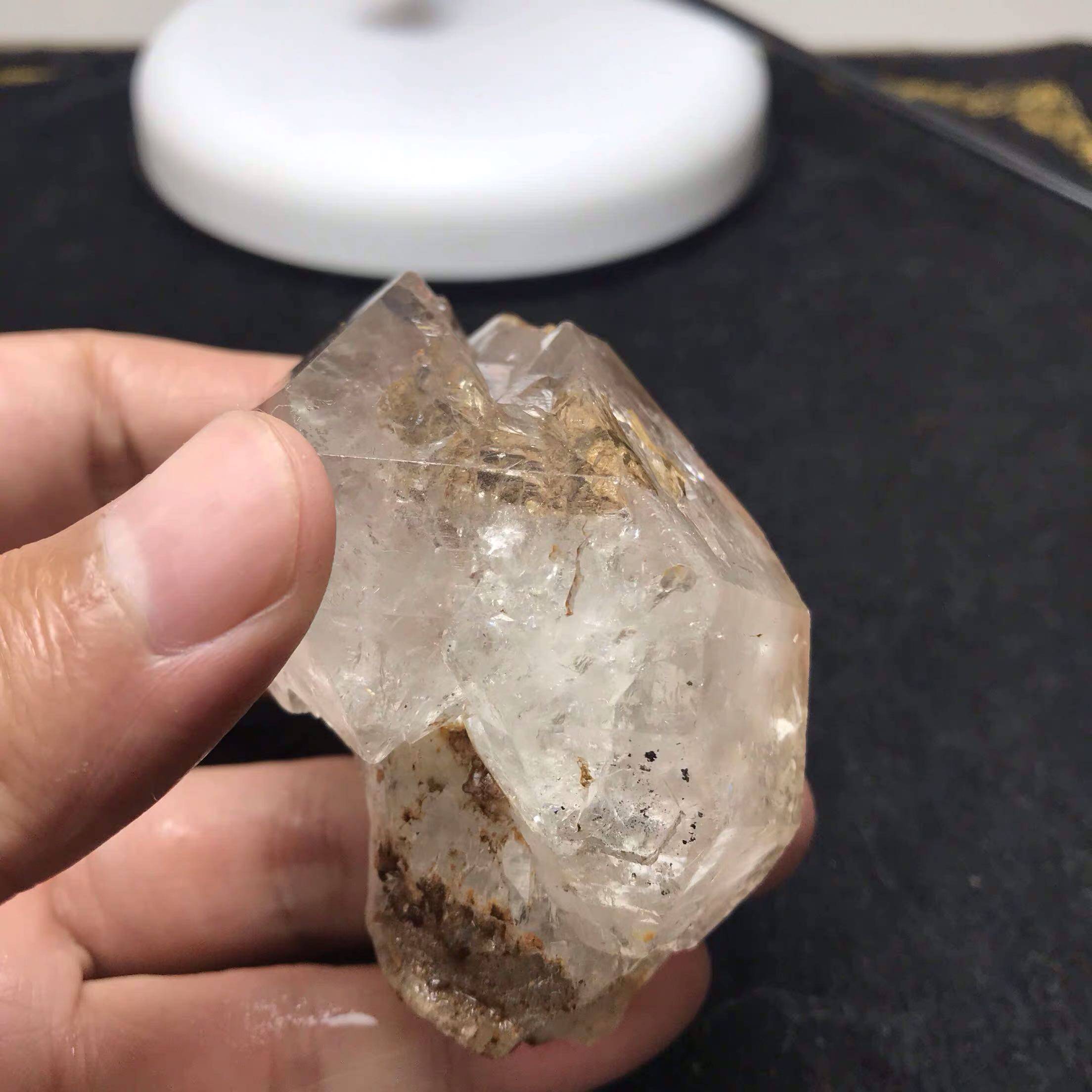 骸骨骨干价格 骸骨骨干图片 星期三