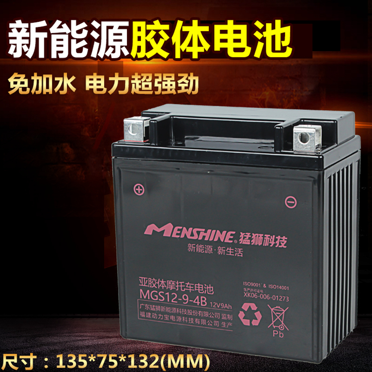 摩托车电瓶蓄电池12v9a大容量gs gn本田太子150三轮车