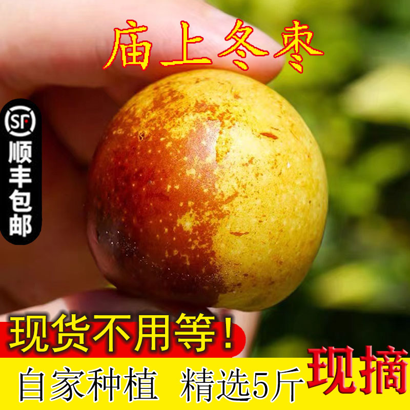 精选大果山西临猗庙上脆甜冬枣现摘红枣新鲜大枣时令孕妇水果包邮