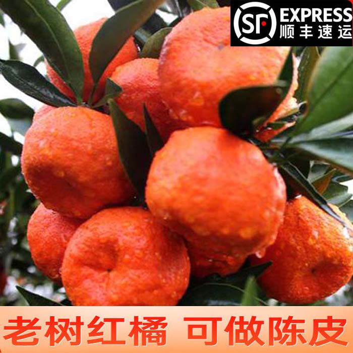 四川红橘万州古红桔新鲜川红柑橘古老树陈皮万县四川大红袍特大果属于什么档次？