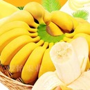 10斤 包邮 新鲜水果芭蕉苹果蕉自然熟香蕉整箱5 现摘广西小米蕉当季