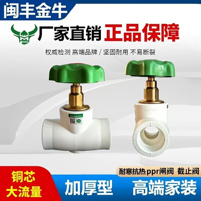 大流量ppr截止阀ppr管配件
