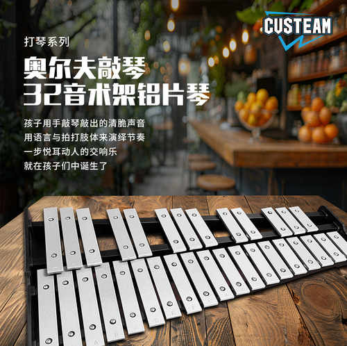 303237音木琴铁琴custeam学生