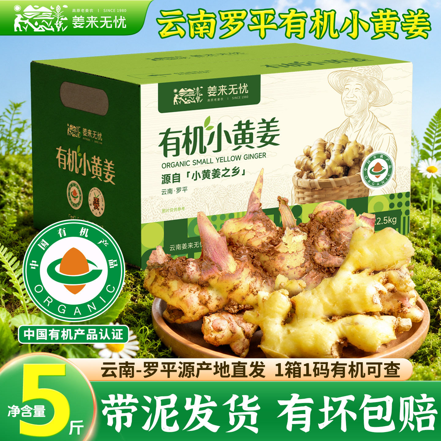 9斤装正宗云南有机罗平小黄姜