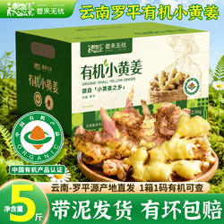 姜来无忧云南罗平有机小黄姜生姜2025年新鲜姜老姜土姜产地直发