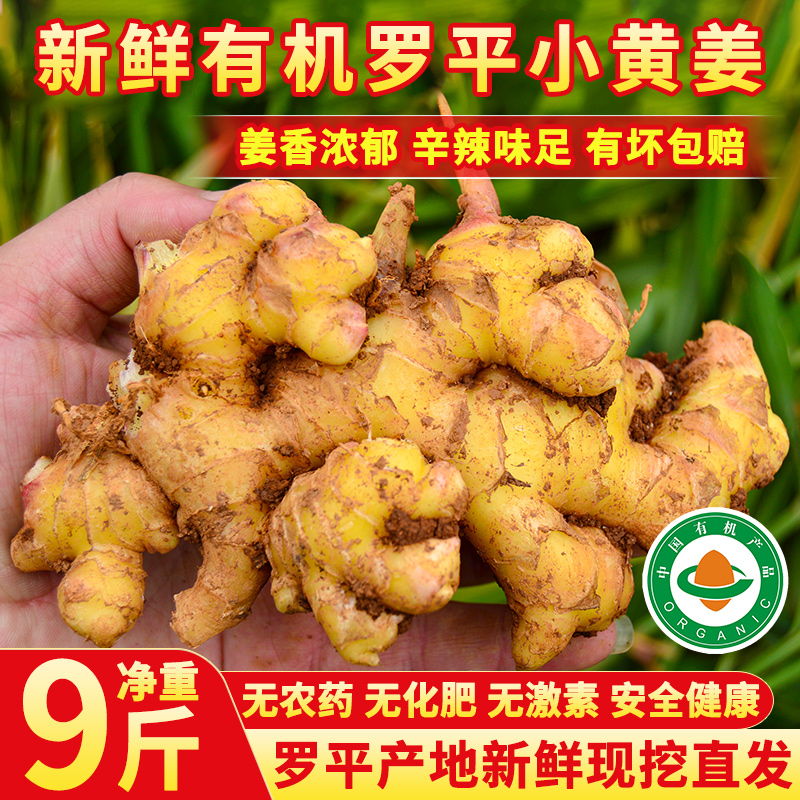 9斤装正宗云南有机罗平小黄姜