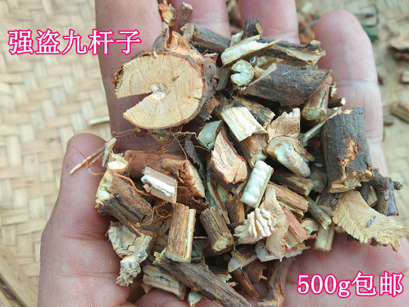 贵州苗家野生强盗九杆子 中药材绣线菊火烧尖一撮椒干货500g包邮