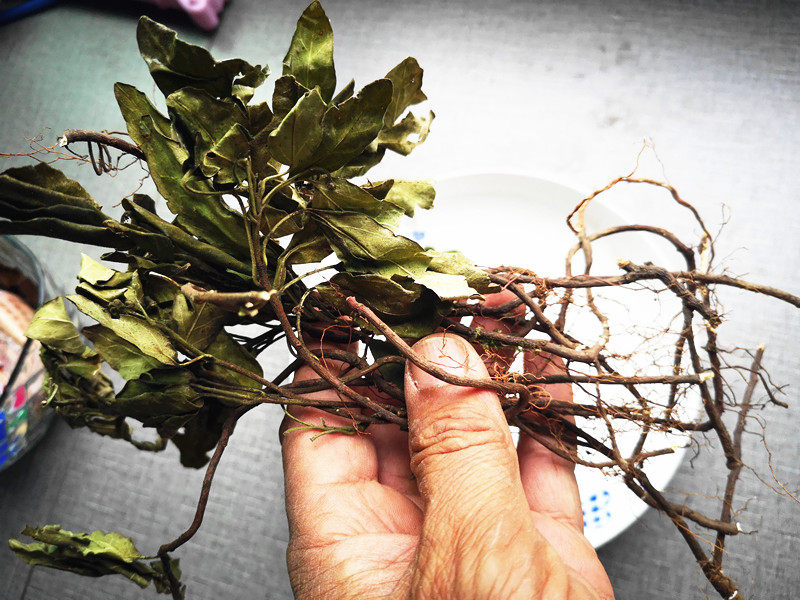 贵州草药白花矮陀陀 中药材地柑子石甘子小白花草矮坨坨干货500克