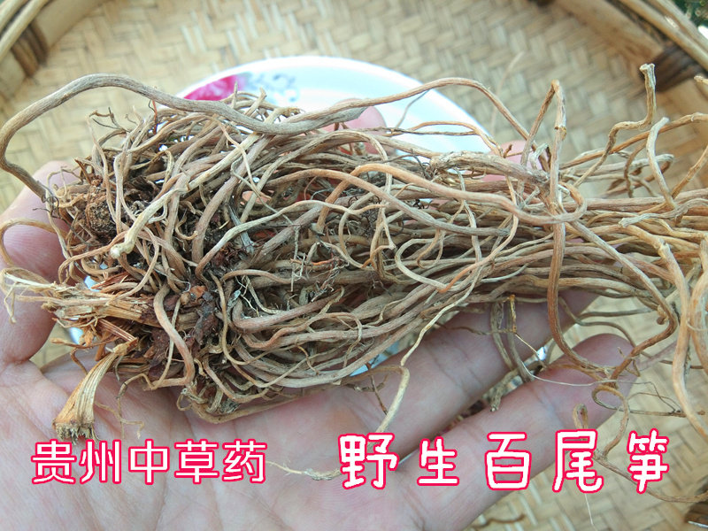 百尾笋中药材倒竹伞干货 野生万寿竹根竹叶参宝铎草500克贵州草药