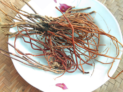 龙胆中药材大250g包邮野生中草药