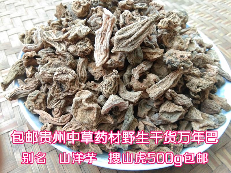 贵州特产野生中药材搜山虎 水洗干货山洋芋苗家草药万年巴1斤包邮